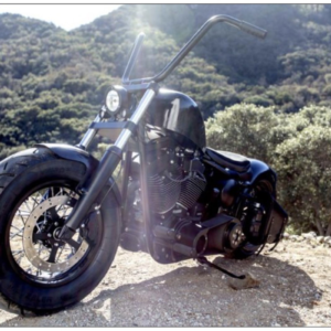 2008 Custom Harley-Davidson®